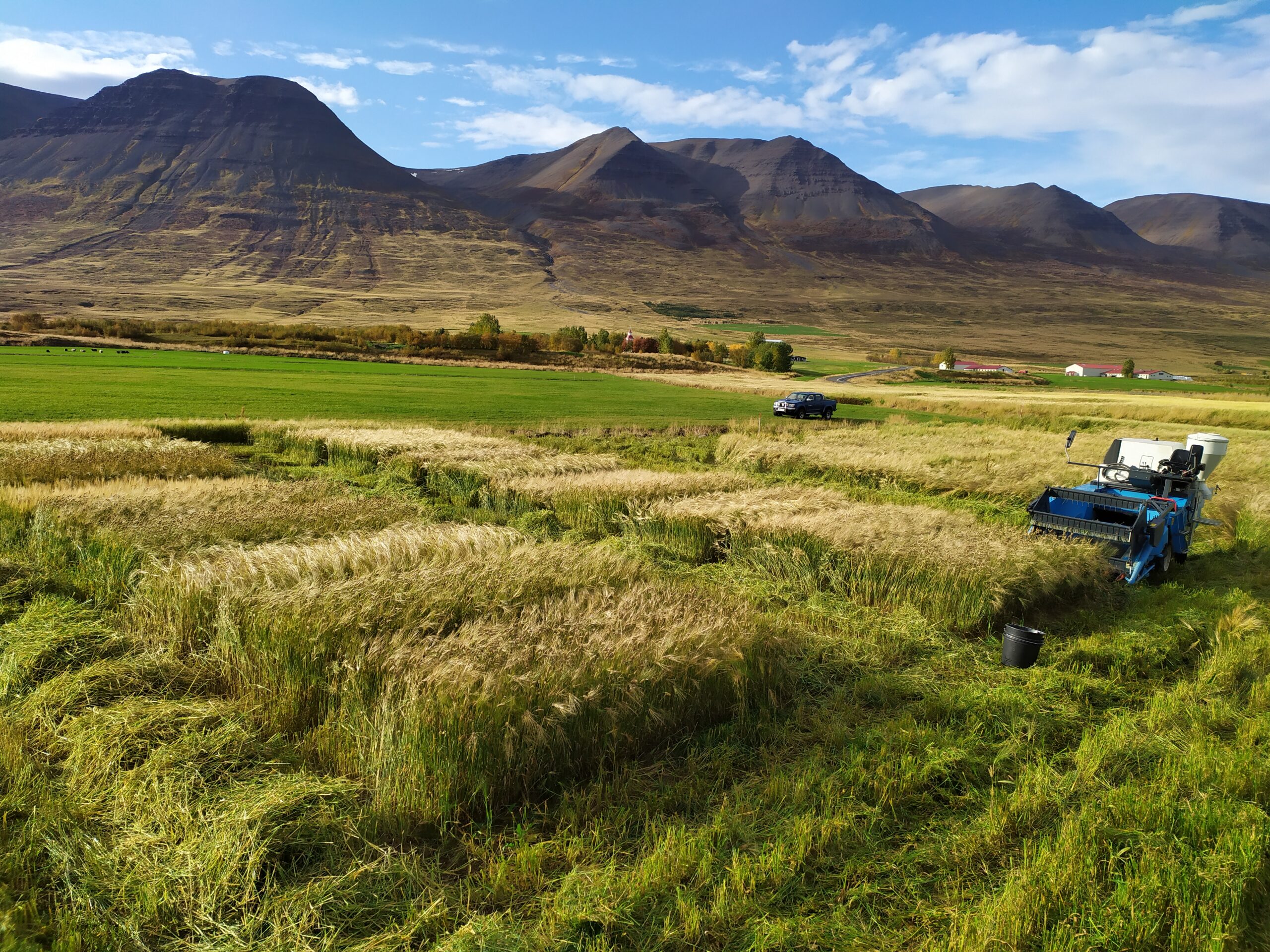 2019_Möðruvellir